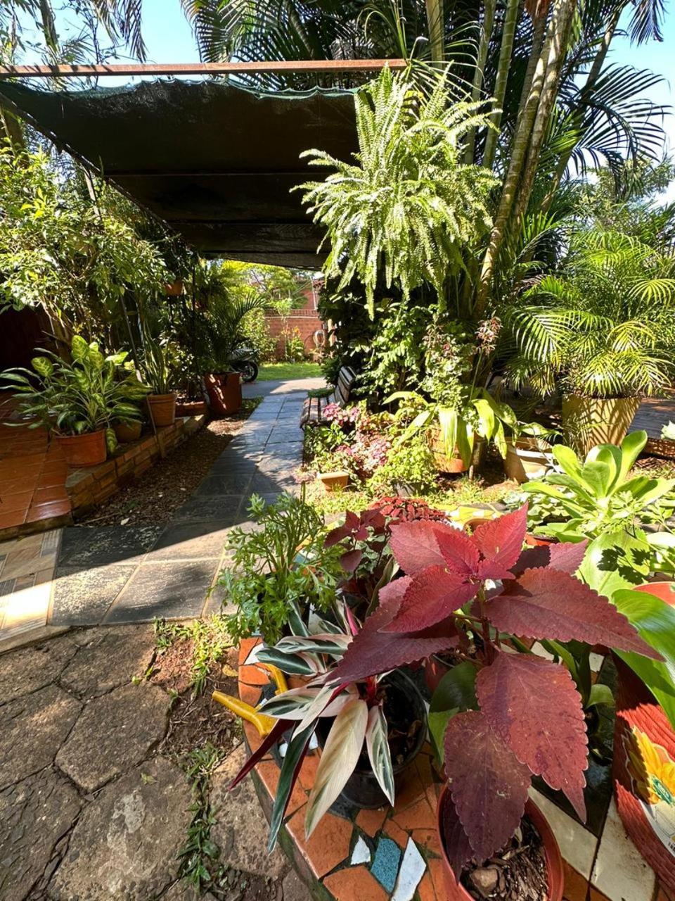 Posada Portal Del Iguazu Hotel Puerto Iguazu Exterior photo